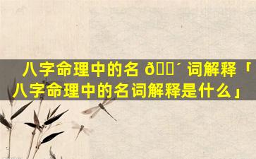 八字命理中的名 🐴 词解释「八字命理中的名词解释是什么」
